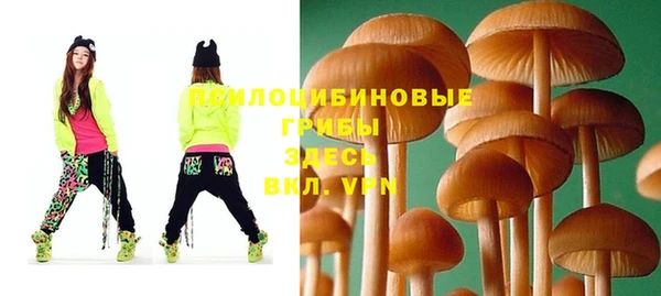 МДПВ Сафоново