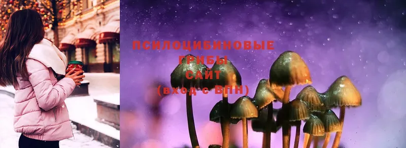 Галлюциногенные грибы Psilocybe  ссылка на мегу вход  Абаза 