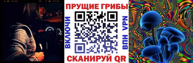 цены   Абаза  Псилоцибиновые грибы Psilocybe 